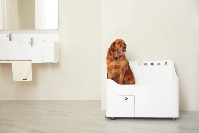 Doggie Bath (Large Breed)-BATHTUBS-doggie bath, dog bathtub, puppy bathtub,寵物浴缸,可移動浴缸,pet bathtub, 大型犬浴缸,小型犬浴缸, 犬隻浴缸,狗狗浴缸,Dog Grooming Bath Tub, animal bathtub, cat bathtub, Small pet bathtub hk,寵物沖涼,寵物洗澡