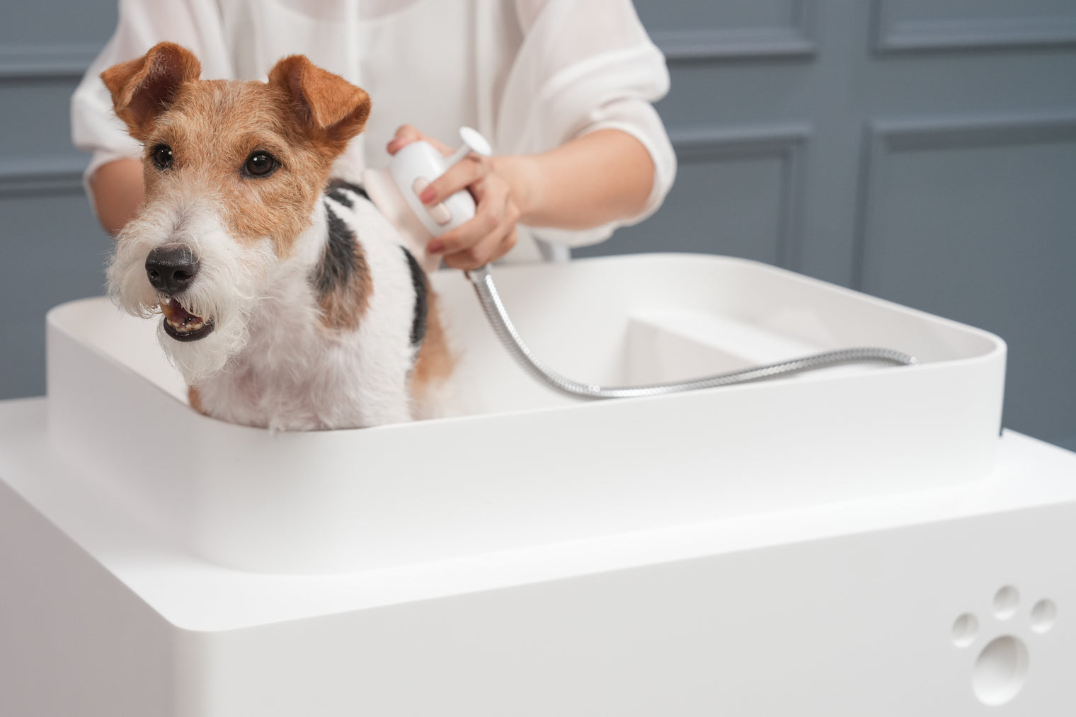 Doggie Bath (Mobile Version) Freestanding Designer Solid Surfaces Mobile Version Bathtub Doggie Bath系列700米長型人造石寵物專用可移動浴缸採用特別溢水設計