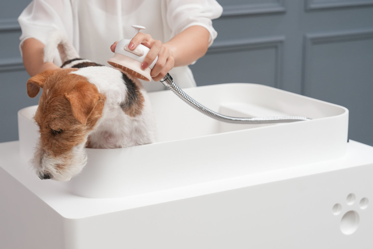 Doggie Bath (Mobile Version) Freestanding Designer Solid Surfaces Mobile Version Bathtub Doggie Bath系列700米長型人造石寵物專用可移動浴缸採用特別溢水設計
