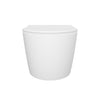 RENNES Wall Mounted Toilet